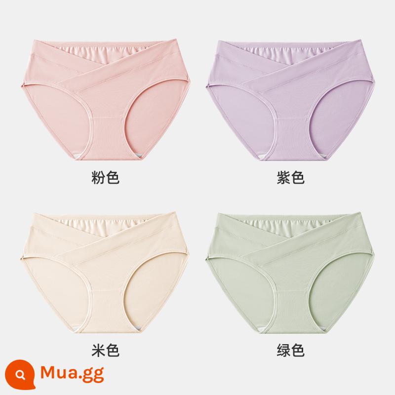 Jingqi đồ lót bà bầu nữ cotton nguyên chất mang thai cotton đặc biệt sớm, giữa và cuối thai kỳ eo thấp quần short cỡ lớn - hồng + tím + be + xanh