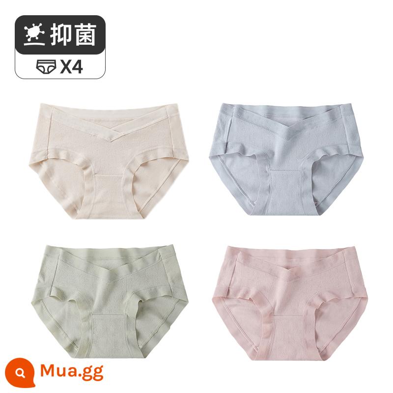 Jingqi đồ lót bà bầu cotton nguyên chất eo thấp giữa cuối thai kỳ đầu mang thai quần short đặc biệt cotton kháng khuẩn kích thước lớn - Bột củ sen trắng + xanh + xanh + xanh