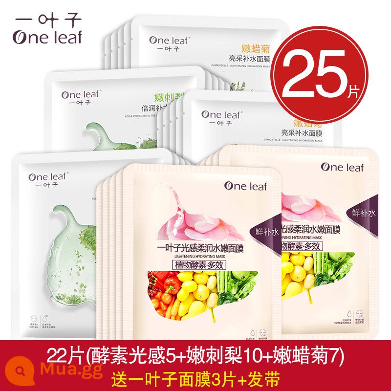 One Leaf Mask Dưỡng Ẩm, Dưỡng Ẩm, Làm Trắng Da, Làm Sáng Da Mụn, Thu Nhỏ Lỗ Chân Lông, Kiểm Soát Dầu, Loại Bỏ Mụn Hàng Chính Hãng Cho Nam Và Nữ - 25 miếng (Cảm giác nhẹ 5 + Lê gai non 10 + Cúc non 7) Tặng 3 miếng + dây buộc tóc