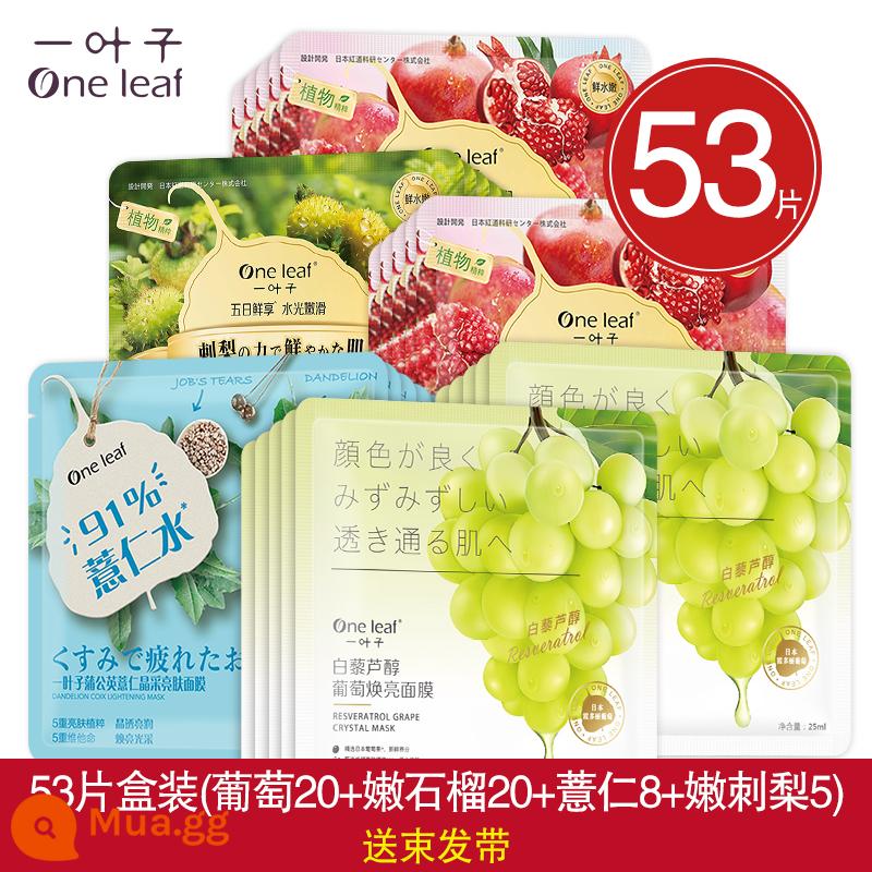 One Leaf Mask Dưỡng Ẩm, Dưỡng Ẩm, Làm Trắng Da, Làm Sáng Da Mụn, Thu Nhỏ Lỗ Chân Lông, Kiểm Soát Dầu, Loại Bỏ Mụn Hàng Chính Hãng Cho Nam Và Nữ - 53 lát (20 quả nho + 20 quả lựu + 8 hạt lúa mạch + 5 quả lê gai) Gửi dây buộc tóc