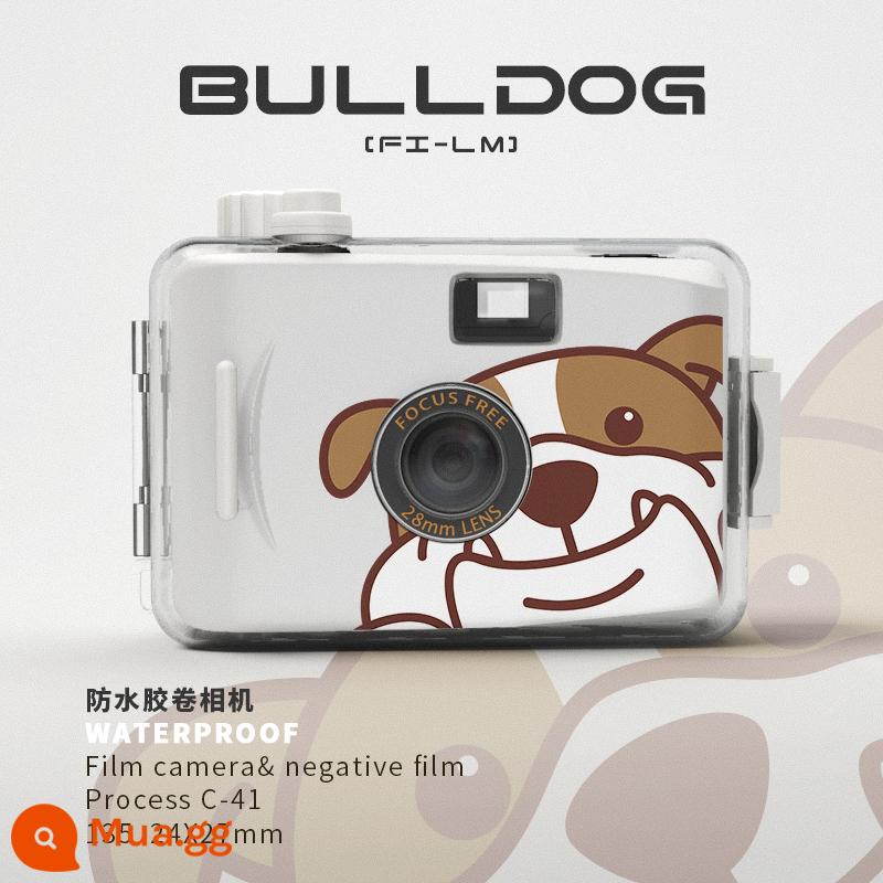 Sách của Bốn Mùa Ins Fool Phim Camera Retro Ruff Retro Không thiết lập lại sinh nhật Sinh viên Giáng sinh Quà tặng - Chó mặt xệ