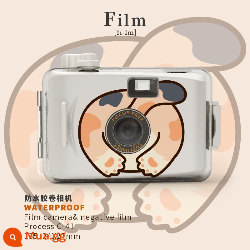 Sách của Bốn Mùa Ins Fool Phim Camera Retro Ruff Retro Không thiết lập lại sinh nhật Sinh viên Giáng sinh Quà tặng - mèo béo màu cam