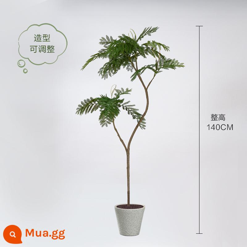 Màu xanh jacaranda mô phỏng cây xanh cao cấp ánh sáng sang trọng trong nhà trang trí phòng khách hoa sinh học giả cây trồng trong chậu lớn trên sàn - Chậu jacaranda xanh nhạt sang trọng 140cm + chậu kèn hoa văn trắng 26*26