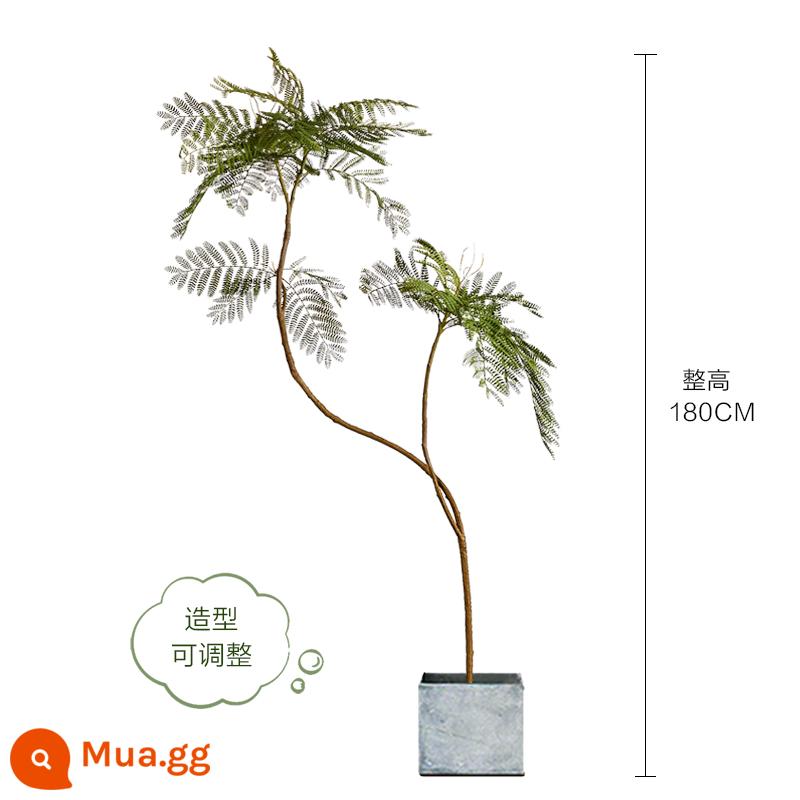 Màu xanh jacaranda mô phỏng cây xanh cao cấp ánh sáng sang trọng trong nhà trang trí phòng khách hoa sinh học giả cây trồng trong chậu lớn trên sàn - Jacaranda xanh nhạt sang trọng 180CM-C + chậu vuông xi măng 25*25