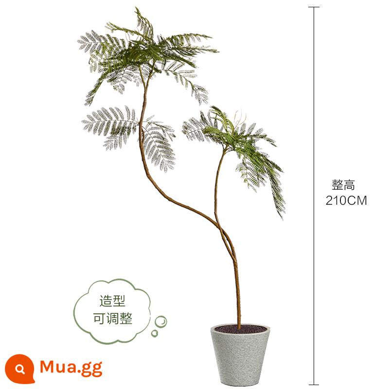 Màu xanh jacaranda mô phỏng cây xanh cao cấp ánh sáng sang trọng trong nhà trang trí phòng khách hoa sinh học giả cây trồng trong chậu lớn trên sàn - Chậu jacaranda xanh nhạt sang trọng 210CM-C + chậu sừng hoa văn trắng 31*31