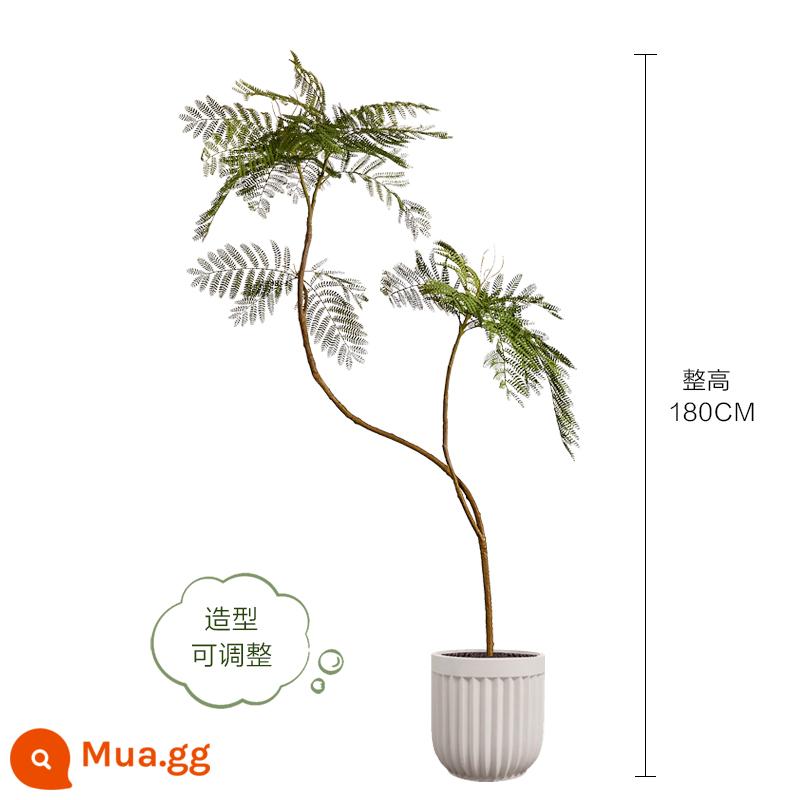 Màu xanh jacaranda mô phỏng cây xanh cao cấp ánh sáng sang trọng trong nhà trang trí phòng khách hoa sinh học giả cây trồng trong chậu lớn trên sàn - Hoa jacaranda xanh nhạt sang trọng 180CM-C + lọ hoa tròn 30*32