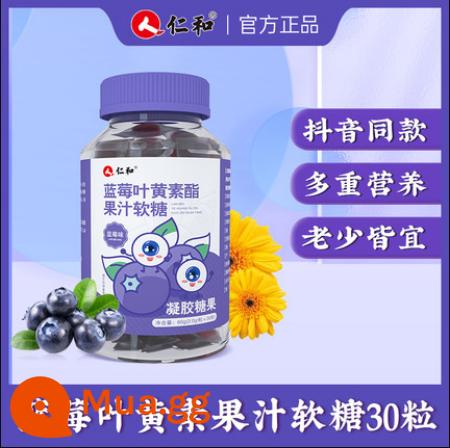 Renhe Blueberry Lutein Ester Viên Gummies Được Cấp Bằng Sáng Chế Cho Người Lớn, Trung Niên Và Người Cao Tuổi Bảo Vệ Mắt Không Dùng Cho Mắt Cửa Hàng Flagship Chính Thức - Trắng