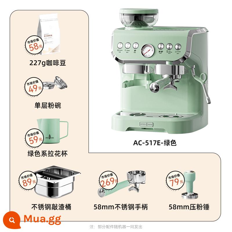 Máy pha cà phê Stelang/Shetron AC-517E hoàn toàn bán tự động gia đình Ý bọt sữa nhỏ xay một - cây thông xanh nhạt