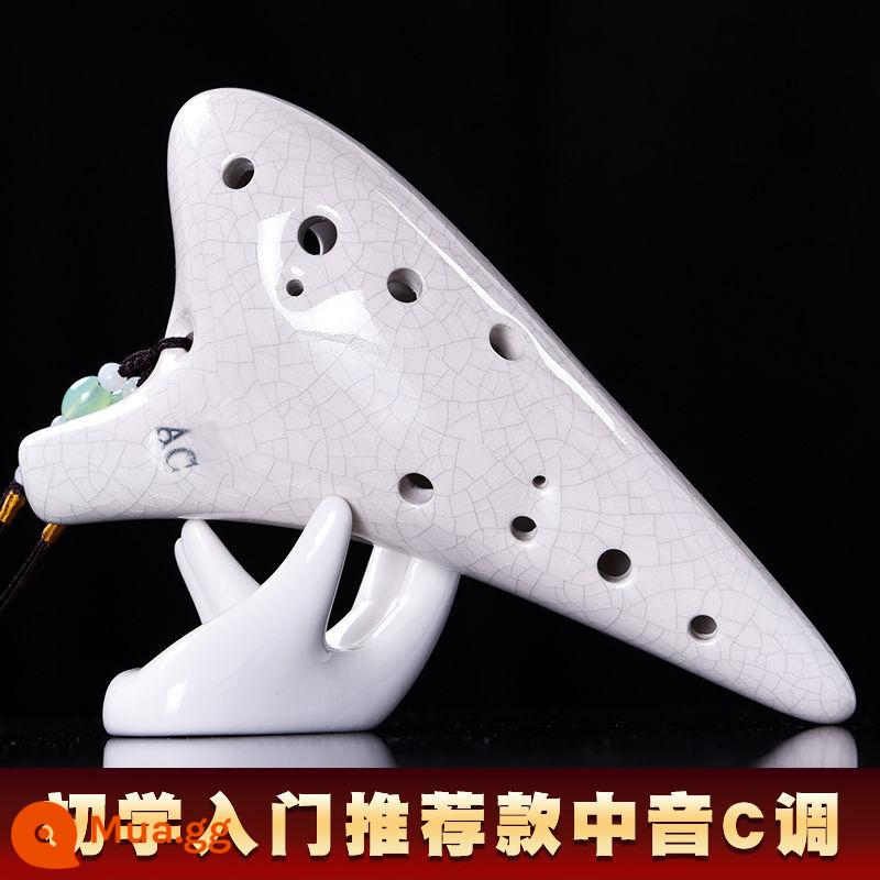 Ocarina 12 lỗ đơn giản dành cho người mới bắt đầu 12 lỗ ac alto C chuyên nghiệp 6 Nhạc cụ học sinh sáo Taoshan 46 - Sự phổ biến của túi [đầu tròn] màu trắng có dây buộc hướng dẫn