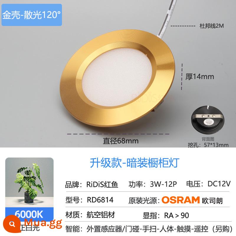 LED tổng thể đèn tủ bên trong nhúng xe ánh sáng cực kỳ -Ốp xe Hidden Hometown Wine Tủ rượu nhỏ Xi lanh tròn Đèn Cave 3 - Đèn đơn ánh sáng trắng dương vỏ vàng 12V (loạn thị)