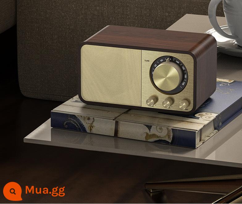 Ngoại Thương Mới JY66 Retro Loa Bluetooth Không Dây Đài FM Loa Siêu Trầm Bằng Gỗ Di Động Loa Bluetooth - Cấu hình tiêu chuẩn JY66