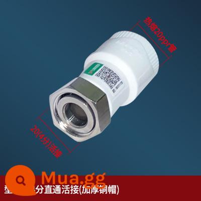 4 phút 20 6 phút 25 PPR khớp di động thẳng qua khuỷu tay chữ T đồng nắp 1 inch 32 nóng chảy nước phụ kiện ống nước - Khớp nối thẳng 4 điểm (nắp đồng dày)