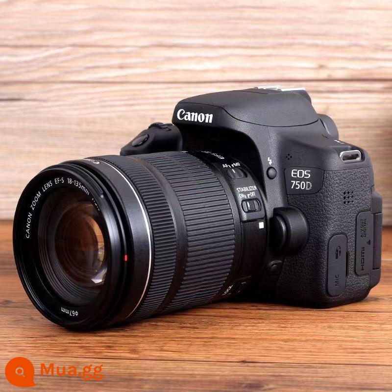 Canon EOS550 700D600D750D7600D máy ảnh một mắt HD dành cho du lịch đã qua sử dụng - 99 550D+18-55 mức đầu vào dễ thương đáp ứng nhu cầu hàng ngày