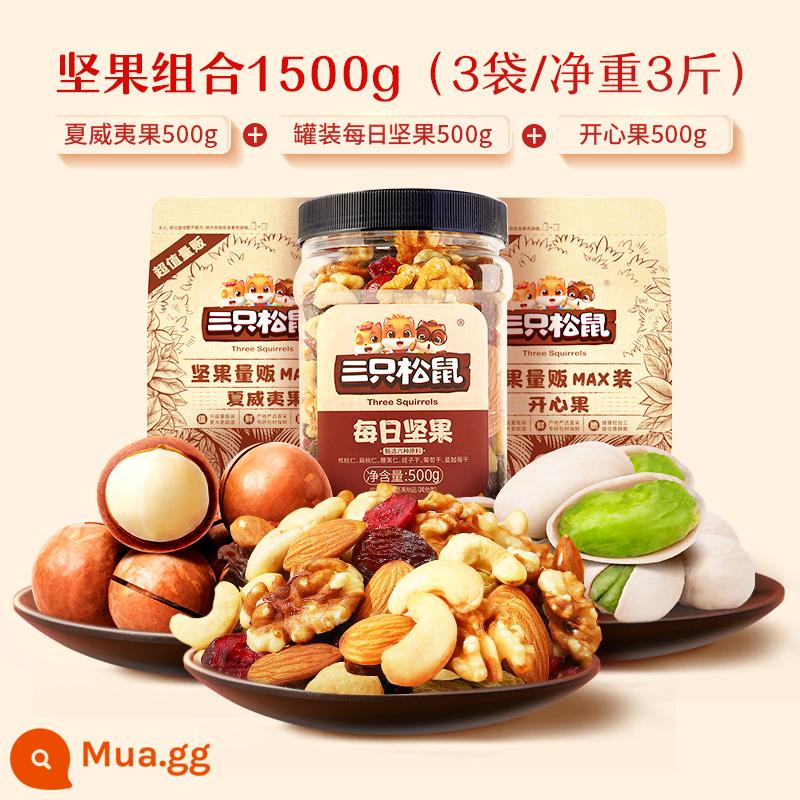 [Ba Con Sóc_Packed Nut Combo 1500g] Hạt Điều Hạt Dẻ Hạt Thông Hạt Macadamia - [Quả hồ trăn + Macadamia + Quả hạch đóng hộp hàng ngày] Tổng cộng 3 túi/3 pound