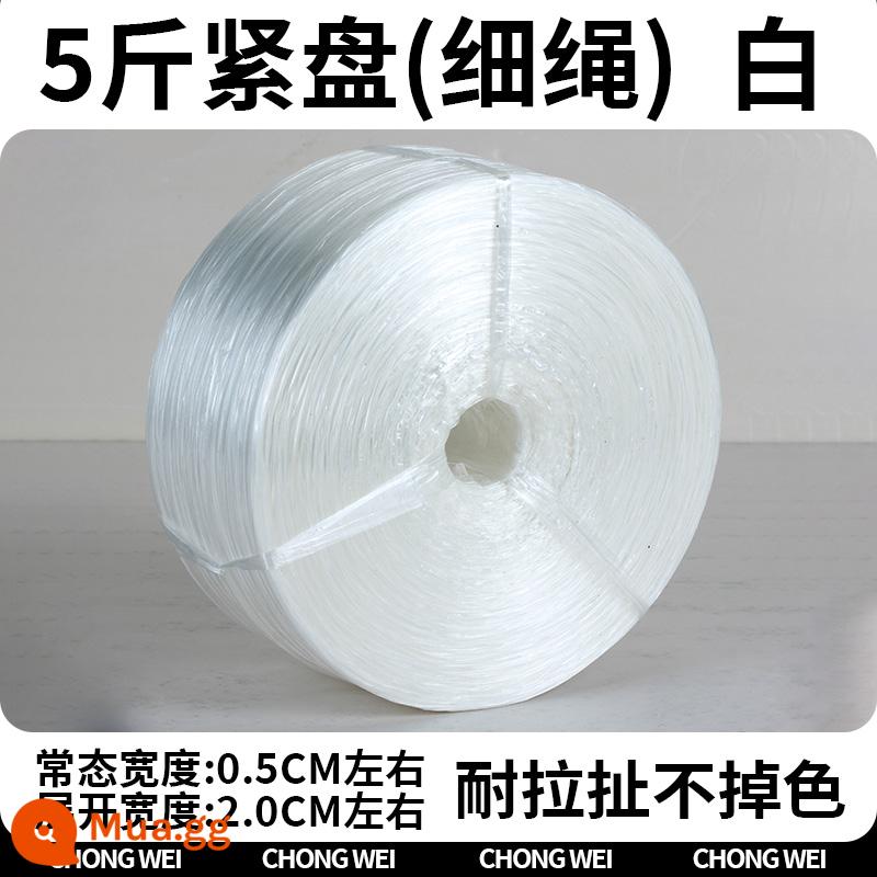 Nhựa nylon đóng gói dây đóng gói bao bì rau cà vạt túi trong suốt kèm dây bện dây xé dây chịu mài mòn - 2 cm trắng [5 pound/vật liệu mới/chống nắng mạnh]