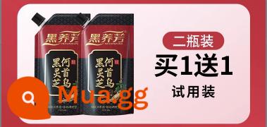 Đen Yangfang Đen Nấm Linh Chi Polygonum multiflorum dầu gội sửa chữa nuôi dưỡng hư tổn sửa chữa tóc chất lượng chăm sóc tóc chính thức hàng chính hãng 2 - [Mua một tặng một] Kích hoạt nang tóc để thúc đẩy sản xuất melanin