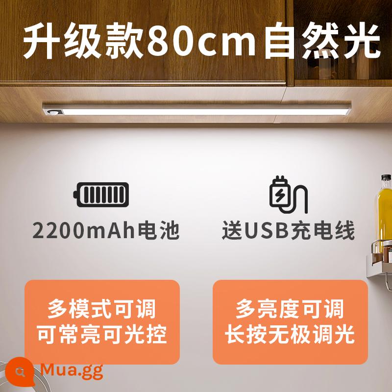 Edron cảm ứng cơ thể con người có thể sạc lại thanh ánh sáng tủ rượu đèn led tủ quần áo tổng thể tủ dài dải tủ giày không dây hút từ tính tự dính - Model nâng cấp tuổi thọ pin-ánh sáng tự nhiên 80cm [hai chế độ + điều chỉnh độ sáng]