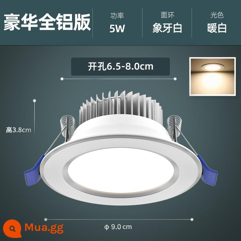 Downlight Nhúng Home LED Spotlight Âm Trần Ba Màu Mờ Đèn Âm Trần Phòng Khách Lỗ Sang Trọng Ánh Sáng Lỗ Ánh Sáng Ánh Sáng Đơn Giản - [Hoàn toàn bằng nhôm sang trọng] Đèn ấm 5W, khoan 6.5-8cm