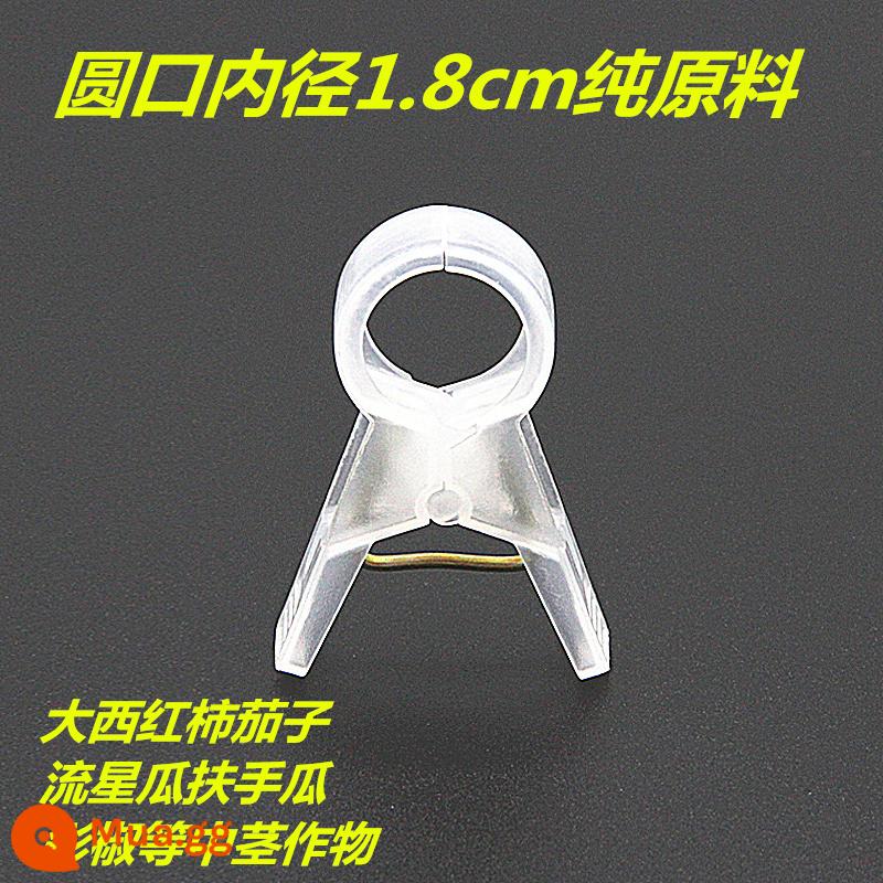 Nhà kính cà chua cà chua dưa chuột clip treo cây con clip dây nho buộc đặc biệt zucchini fu cây nho rau treo clip cây nho - 1.8 nguyên liệu thô dày và trong suốt 1000 miếng