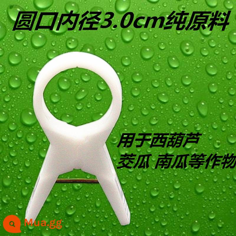 Nhà kính cà chua cà chua dưa chuột clip treo cây con clip dây nho buộc đặc biệt zucchini fu cây nho rau treo clip cây nho - Nguyên liệu thô 3.0 đặc màu trắng sữa 1000 miếng