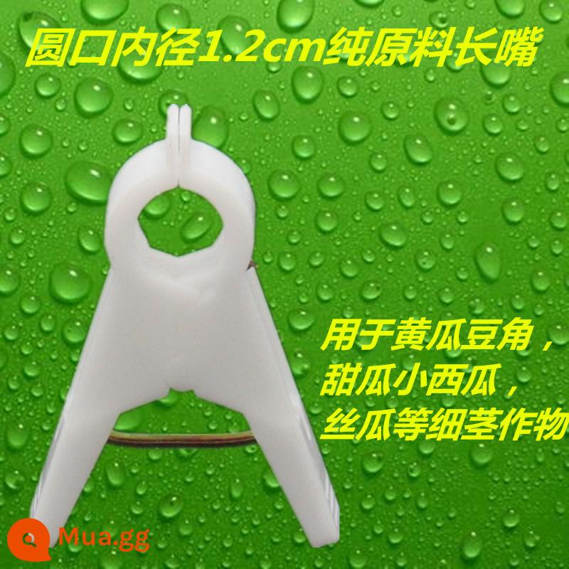 Nhà kính cà chua cà chua dưa chuột clip treo cây con clip dây nho buộc đặc biệt zucchini fu cây nho rau treo clip cây nho - 1.2 Nguyên liệu nguyên chất đặc miệng dài màu trắng sữa 1000 miếng