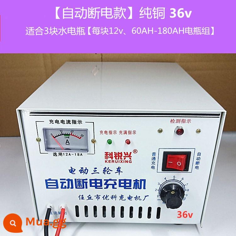 Xe ba bánh điện sạc pin nước pin 48v60v72v đồng nguyên chất cao cấp sạc nhanh - [Mẫu tự động tắt nguồn] Đồng nguyên chất 36v