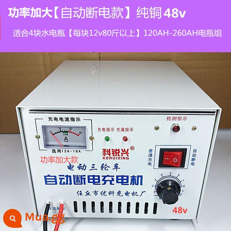 Xe ba bánh điện sạc pin nước pin 48v60v72v đồng nguyên chất cao cấp sạc nhanh - Tăng công suất [kiểu tắt nguồn tự động] đồng nguyên chất 48v