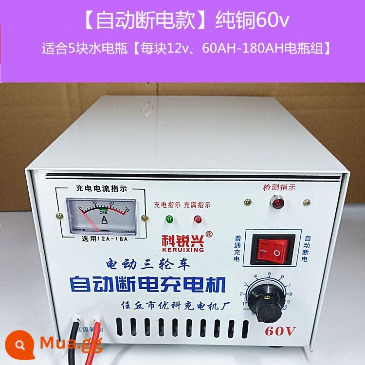 Xe ba bánh điện sạc pin nước pin 48v60v72v đồng nguyên chất cao cấp sạc nhanh - [Mẫu tự động tắt nguồn] Đồng nguyên chất 60v