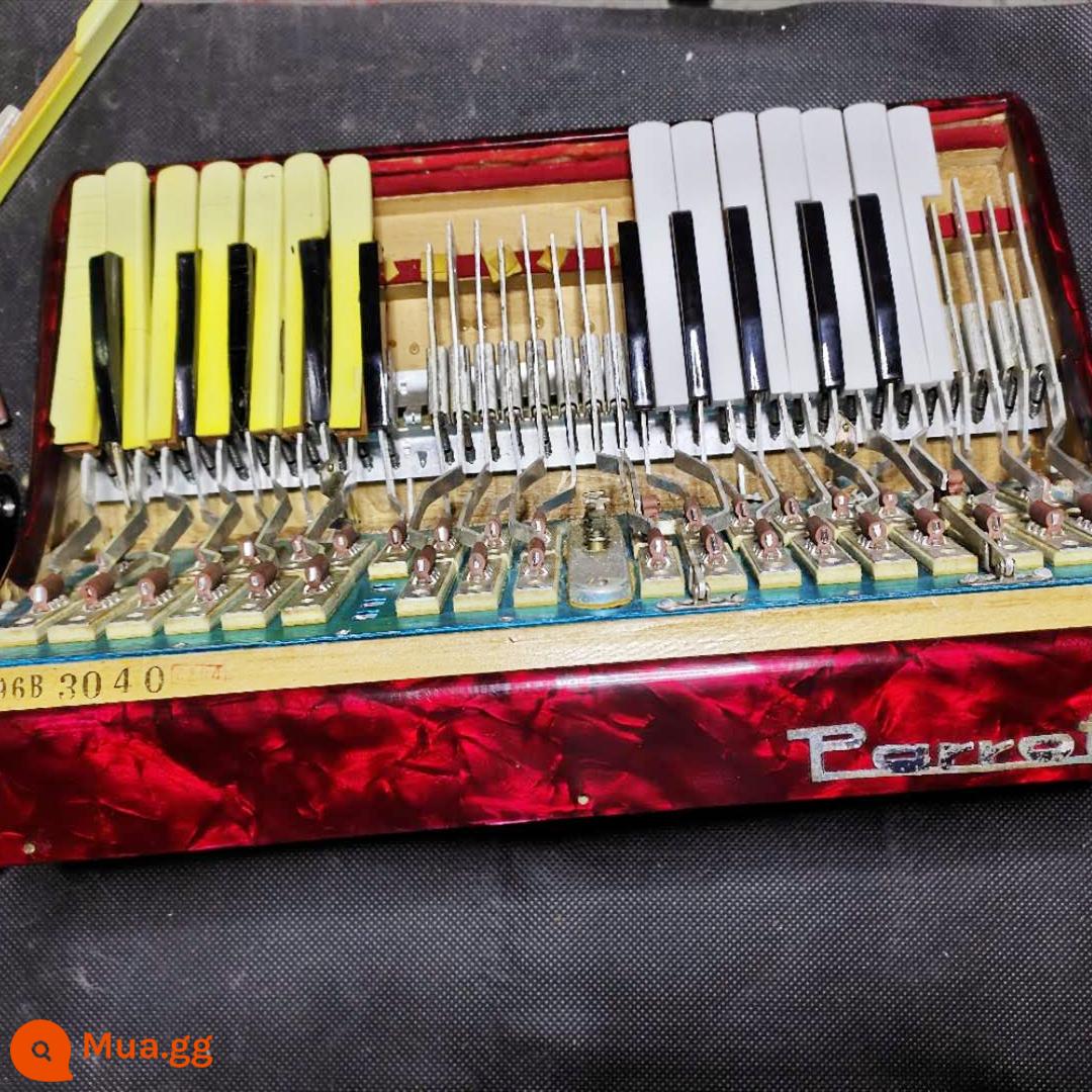 Phụ kiện bàn phím đàn accordion sửa chữa thay thế chuyên nghiệp 32 ~ 120 phím bass/phím đen/phím trắng - Thay thế phím đen trắng 34 phím (48, 60, 72bs)