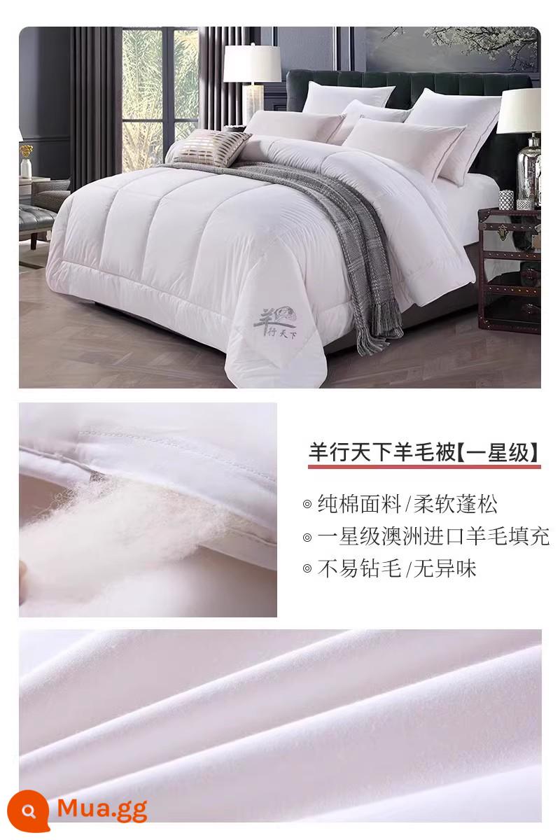 Hengyuanxiang chăn len nhập khẩu Úc đích thực 100 chăn len nguyên chất chăn mùa đông chăn cotton nguyên chất dày lõi chăn ấm áp mùa đông - Cừu Xing Tianxia [Một Sao 100% Len Úc]