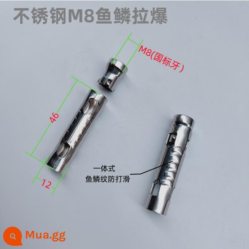 Bảng điều khiển tổ ong trần tích hợp phụ kiện tiêu chuẩn quốc gia vít thông qua vít răng M6M8 vảy cá kéo nổ đai ốc gioăng 38 nâng nhanh - 100pcs-M8*45 vảy cá inox 13,6g