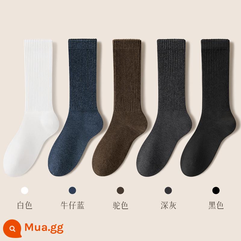 Vớ nam mùa đông vớ ống giữa cotton nguyên chất khử mùi kháng khuẩn vớ dày vớ cotton mùa xuân và mùa thu vớ nam màu đen - Kết hợp mười hai (trắng + lạc đà + xanh denim + xám đậm + đen)