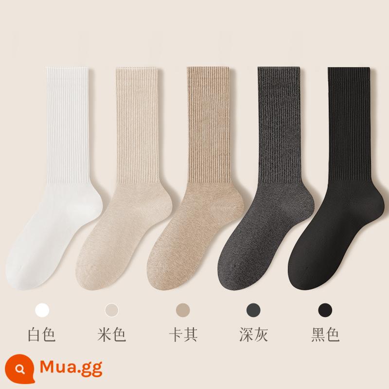 Tất nữ mùa thu đông tất giữa bắp chân 100% cotton chính hãng kháng khuẩn và khử mùi dày dài mùa xuân và mùa thu tất nữ màu đen - Kết hợp mười bốn (trắng + be + kaki + xám đậm + đen)