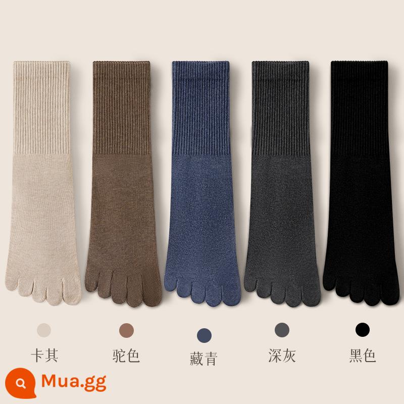 Vớ nam năm ngón mùa thu đông cotton nguyên chất kháng khuẩn khử mùi thấm hút mồ hôi ngón chân vớ ống giữa vớ nam màu đen - Kết hợp tám (kaki + lạc đà + hải quân + xám đậm + đen)