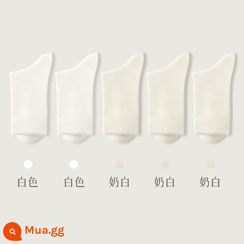 Vớ nữ ống ngắn và trung bình mùa xuân và mùa hè vớ cotton mỏng khử mùi và thấm mồ hôi vớ nữ mùa xuân và mùa thu màu trắng kháng khuẩn vớ ống trung bình - Kết hợp chín (2 trắng + 3 trắng sữa)