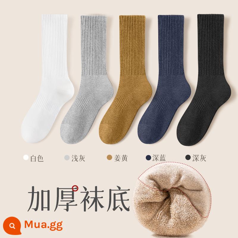 Vớ mùa đông nam vớ bông nguyên chất cộng với nhung dày làm ấm đáy vớ cotton khử mùi thấm hút mồ hôi vớ ống giữa nam - Kết hợp mười hai (trắng + xám nhạt + xám đậm + nghệ + xanh đậm)