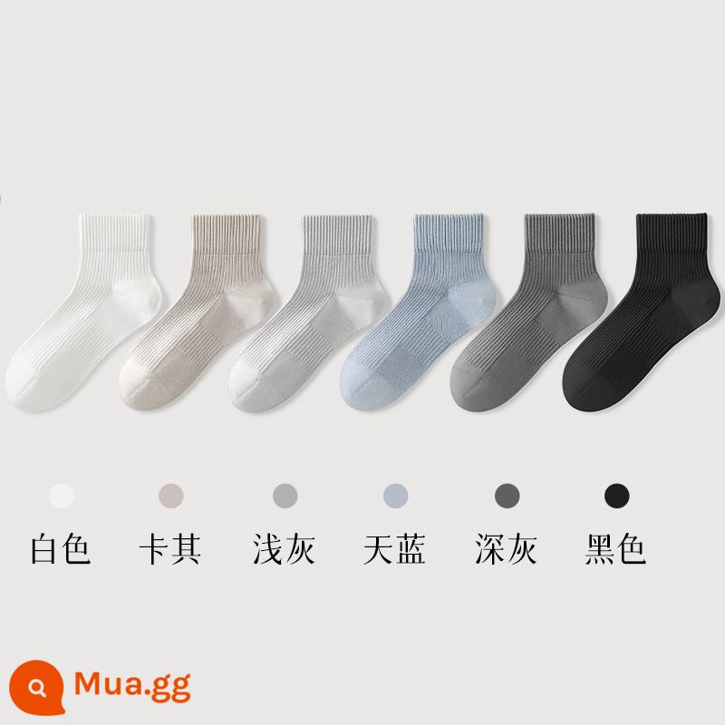 Vớ nam giữa bắp chân thu đông 100% sợi cotton chính hãng kháng khuẩn, khử mùi và thấm mồ hôi thể thao nam màu trắng - Kết hợp bốn (trắng + kaki + xám nhạt + xanh da trời + xám đậm + đen)