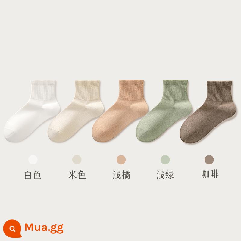 Tất Nữ Mùa Thu Đông Tất Giữa Bắp Chân 100% Cotton Chính Hãng Khử Mùi Kháng Khuẩn Dày Trắng Xuân Thu Không Xương Tất Nữ - Kết hợp chín (trắng + be + cam nhạt + xanh nhạt + cà phê)