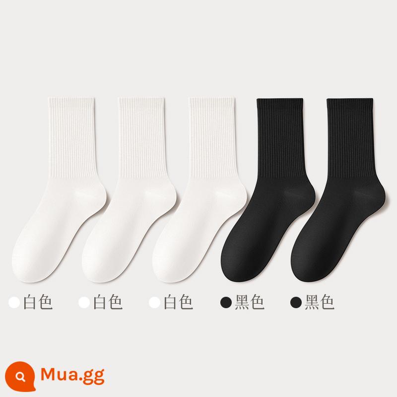 Vớ nữ ống giữa mùa hè cotton mỏng màu trắng thấm hút mồ hôi thể thao mùa hè đen không xương ống dài nữ xuân thu - Kết hợp sáu (3 trắng + 2 đen)