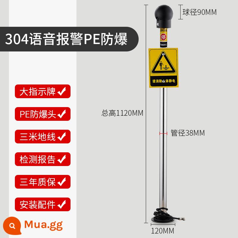 Bộ khử tĩnh điện cơ thể con người cảm ứng công nghiệp trạm bóng cột dụng cụ chống cháy nổ thiết bị báo động bằng giọng nói bóng tĩnh - Cảnh báo bằng giọng nói 304 loại PE chống cháy nổ