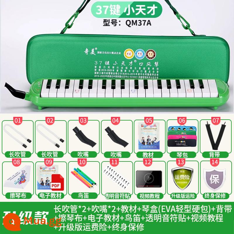 Chimei miệng đàn organ 37 phím 32 phím DHS học sinh tiểu học lớp học đặc biệt nhạc cụ trẻ em người mới bắt đầu chơi đàn organ miệng - Chimei [Little Genius 37 Keys Green] Hộp cứng nhẹ EVA + Hướng dẫn chơi + Gói quà tặng lớn