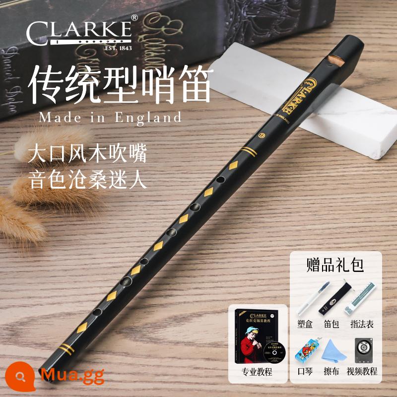 Clarke Clarke Irish Còi Sáo Thiếc Truyền Thống C-Tune D-Tune Thẳng Sáo Kim Loại Nhạc Cụ Nhập Khẩu Của Anh - D tone đen + hướng dẫn chuyên nghiệp