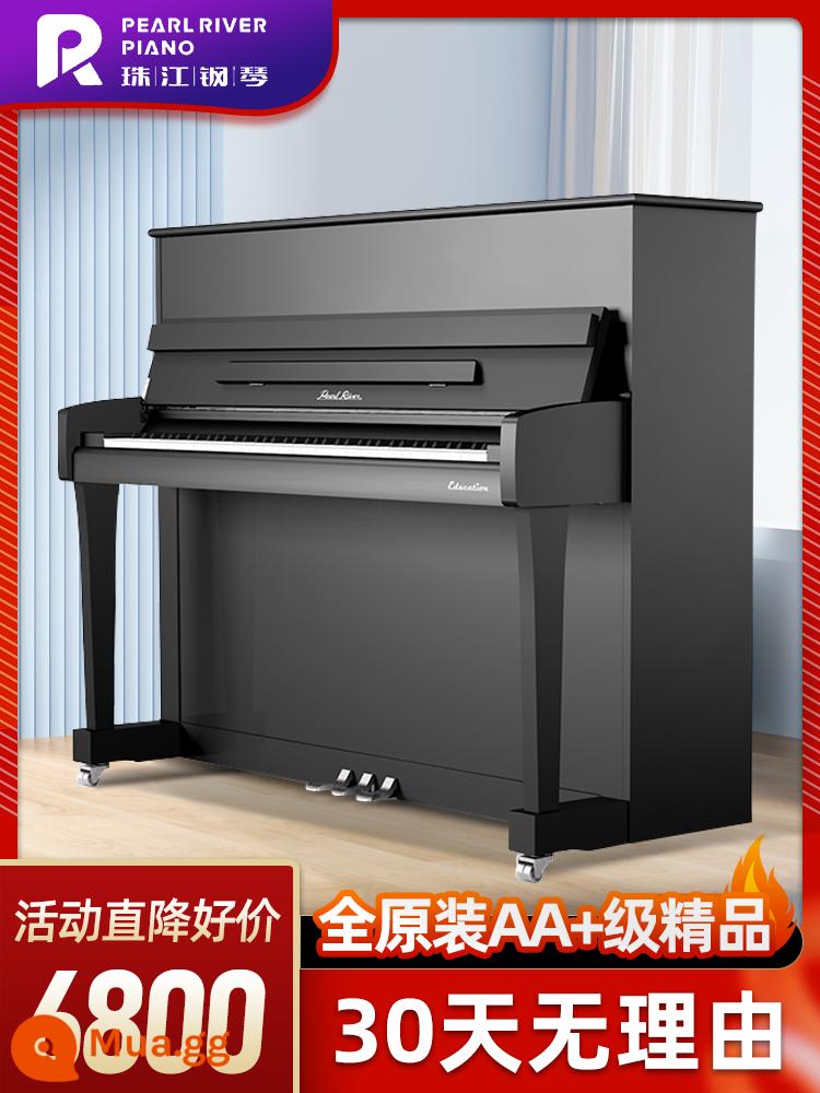 Nghệ sĩ piano chơi đàn piano chuyên nghiệp dành cho người mới bắt đầu ở Pearl River dành cho người mới bắt đầu và trẻ em - Bữa ăn tiêu chuẩn