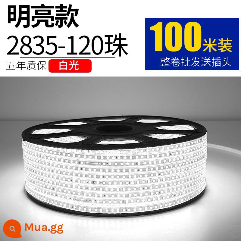 Dây Đèn LED 220V Ngoài Trời Chống Nước Tầng Hầm Đường Hầm Công Trường Chiếu Sáng Trang Trí Chiếu Sáng Dải Ánh Sáng Trắng 24V36V - 2835-120 ánh sáng trắng ngọc trai 100 mét miễn phí 10 phích cắm