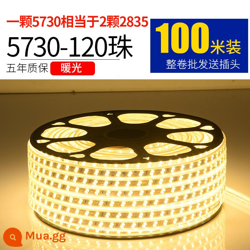 Dây Đèn LED 220V Ngoài Trời Chống Nước Tầng Hầm Đường Hầm Công Trường Chiếu Sáng Trang Trí Chiếu Sáng Dải Ánh Sáng Trắng 24V36V - 5730-120 ánh sáng ấm áp ngọc trai 100 mét miễn phí 10 phích cắm