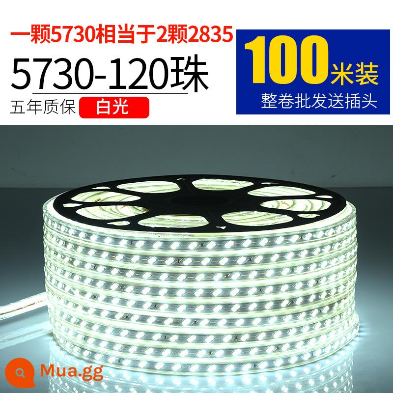 Dây Đèn LED 220V Ngoài Trời Chống Nước Tầng Hầm Đường Hầm Công Trường Chiếu Sáng Trang Trí Chiếu Sáng Dải Ánh Sáng Trắng 24V36V - 5730-120 ánh sáng trắng ngọc trai 100 mét miễn phí 10 phích cắm