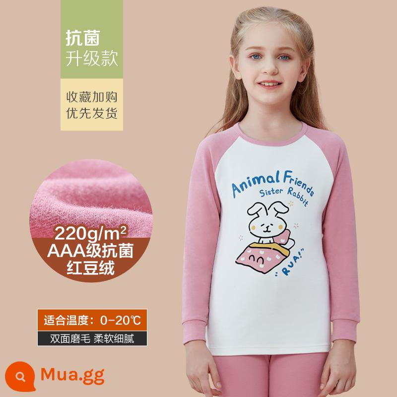 Bộ quần áo mùa thu nhung đậu đỏ và quần vệ sinh trẻ em nguyên chất cotton dày dặn cho bé trai và bé gái Áo len cotton sưởi ấm quần - BN218 đỏ mận [đánh răng kháng khuẩn hai mặt 220g/㎡] thích hợp cho nhiệt độ 0-20oC