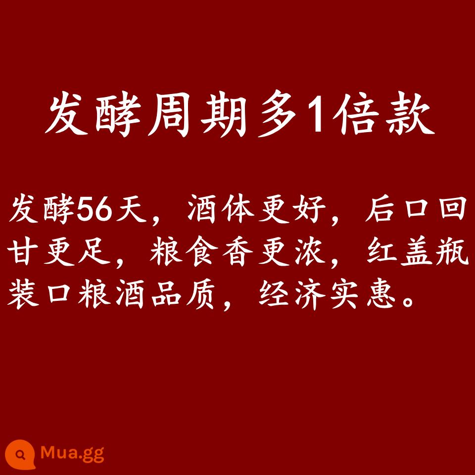 Rượu Shanxi Xinghuacun 42 độ loại thơm rượu thấp rượu lúa miến nguyên chất số lượng lớn bìa đỏ Fenyang 10 thùng catties - 42 độ ủ cùng năm, hương ngũ cốc lên men kép đậm đà hơn