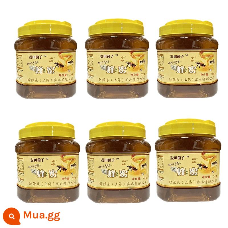 Mật ong đá trung bình 2kg chai nhựa thùng lớn nướng nguyên liệu Shenguan mật ong phục vụ nấu ăn gia vị trà ngọt - 6 thùng/hộp (mật hoa sophora)