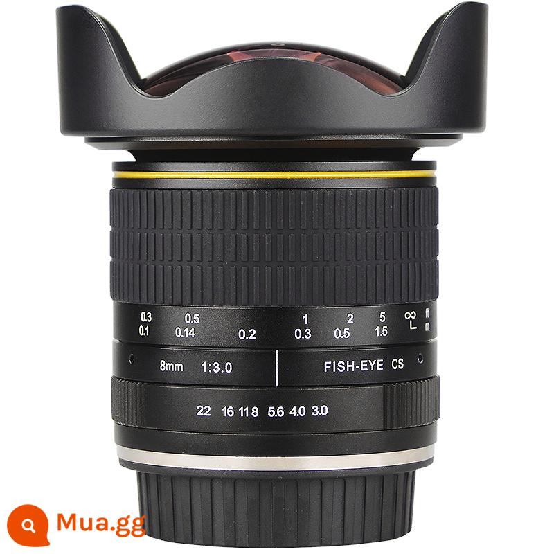 Ống kính mắt cá góc siêu rộng 8 mm F3.0 lấy nét cố định VR toàn cảnh 720 độ cho một mắt Canon EF Nikon F-mount - đen